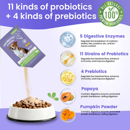 Nutridog Probiotic Powder for Dogs – 11-Strain Gut, Skin & Immune Support | 60 Single-Serve Packets