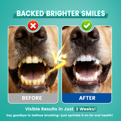 Dog Dental Powder for Teeth Cleaning, Dog Teeth Cleaning Powder for Dogs with Probiotic & Tartar Remover, Fresh Breath Support, No Brushing Oral Care, Chicken Flavor, 60ct