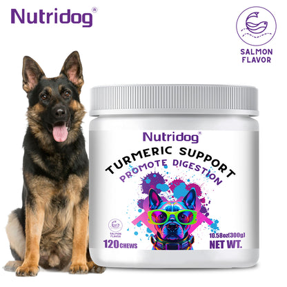 Nutridog Turmeric Chews for Dogs – Curcumin & Coconut Oil for Joint Pain & Allergy Relief | 120 Soft Chews