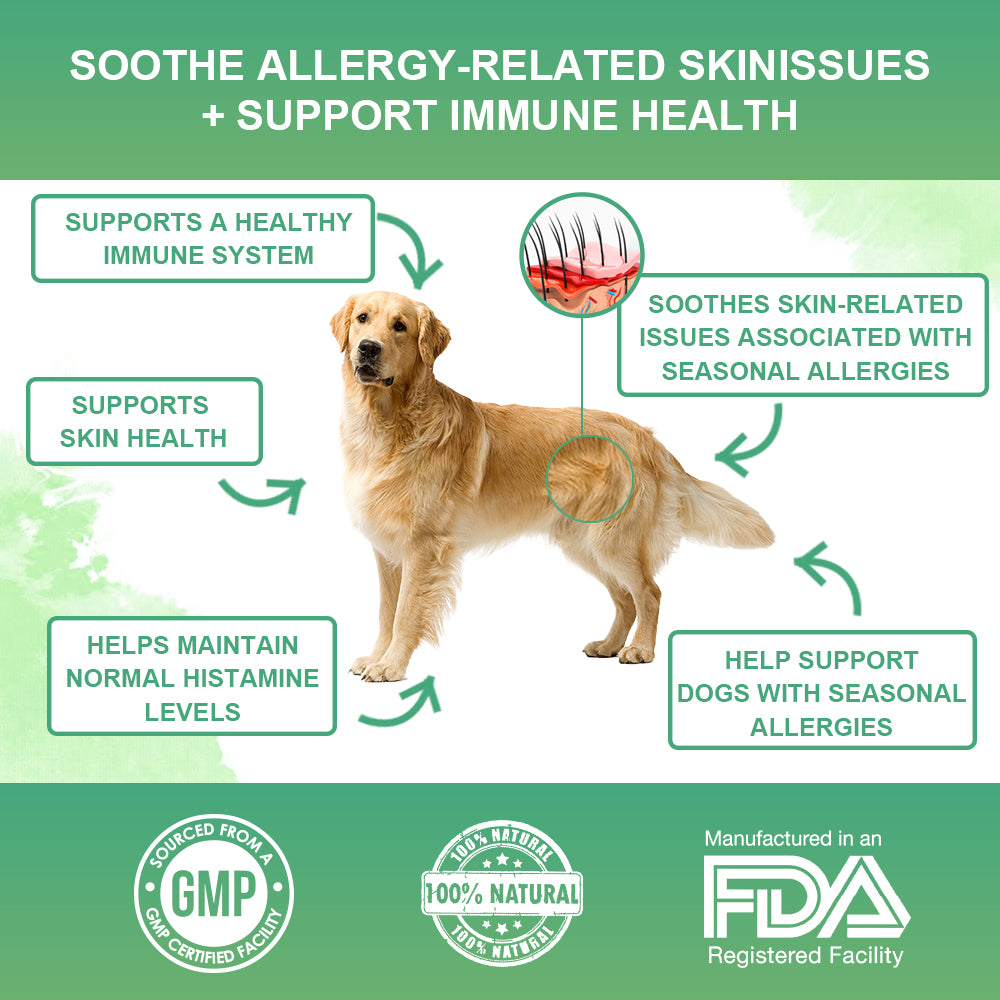 Allergy Powder for Dogs, 90g Salmon Flavor - Itch Relief & Immune Support with Probiotics, Quercetin & Salmon Oil | Vet-Approved Formula for Seasonal Allergies & Sensitive Skin (Salmon)