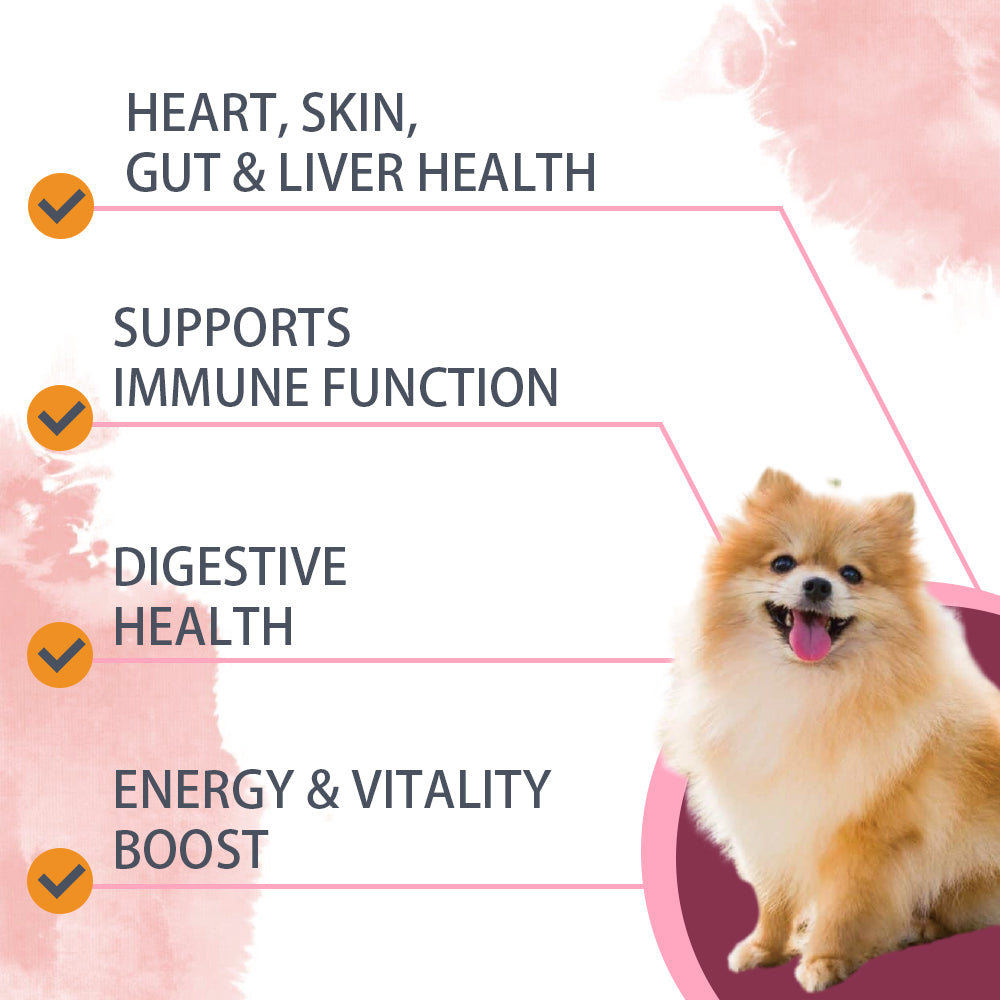 Nutridog Multivitamin 30 Chews