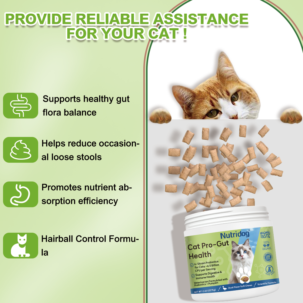 Nutridog Cat Probiotic for Digestive & Gut Health - 150 Dual Texture Crunchy & Creamy Bites - Relief for Constipation, Diarrhea & Sensitive Stomach with Prebiotics & Taurine for Kittens & Seniors