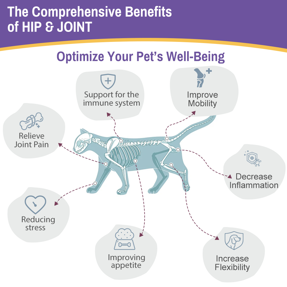 Glucosamine for Cats, Hip and Joint Support Supplement with MSM, Turmeric & Vitamin C - Chicken Flavor Liquid Joint Care Drops to Relieve Joint Pain, Reduce Inflammation & Improve Mobility, 2 FL OZ (60ML)