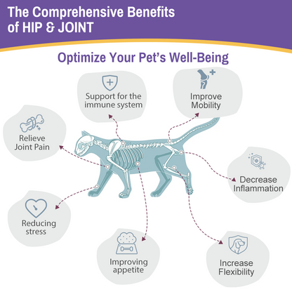 Glucosamine for Cats, Hip and Joint Support Supplement with MSM, Turmeric & Vitamin C - Chicken Flavor Liquid Joint Care Drops to Relieve Joint Pain, Reduce Inflammation & Improve Mobility, 2 FL OZ (60ML)