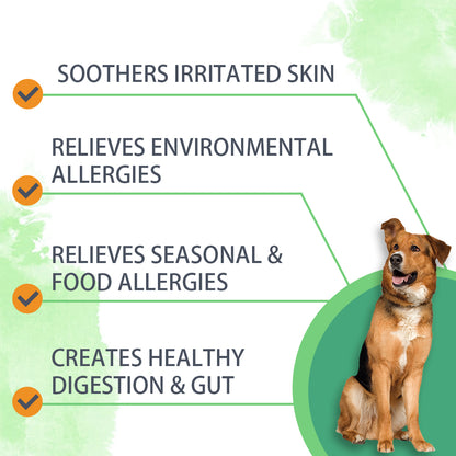 Allergy Powder for Dogs, 90g Salmon Flavor - Itch Relief & Immune Support with Probiotics, Quercetin & Salmon Oil | Vet-Approved Formula for Seasonal Allergies & Sensitive Skin (Salmon)