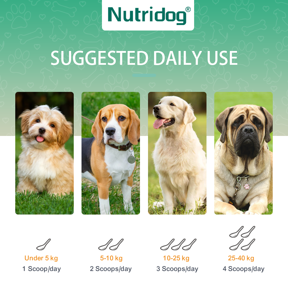 Allergy Powder for Dogs, 90g Salmon Flavor - Itch Relief & Immune Support with Probiotics, Quercetin & Salmon Oil | Vet-Approved Formula for Seasonal Allergies & Sensitive Skin (Salmon)