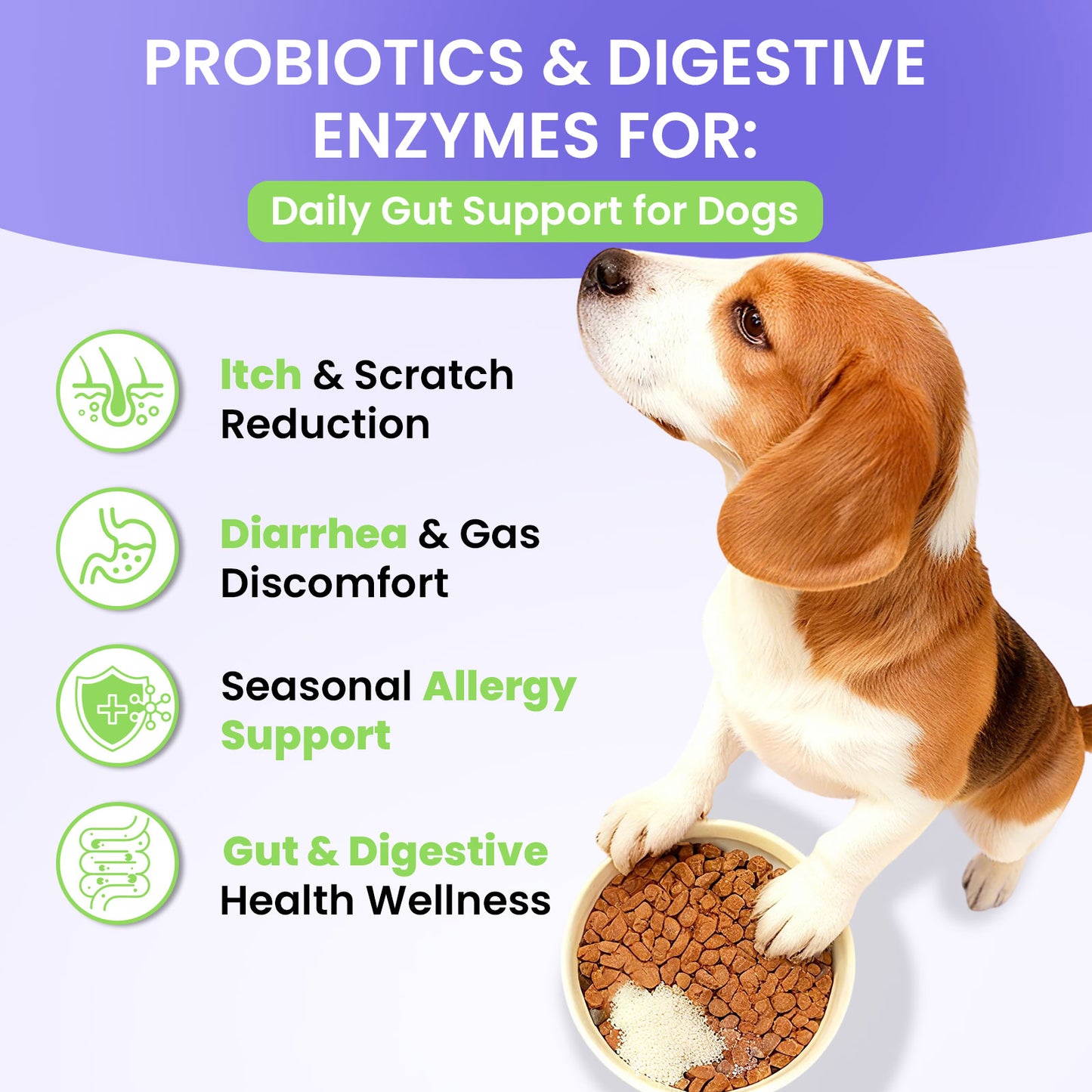 Nutridog Probiotic Powder for Dogs – 11-Strain Gut, Skin & Immune Support | 60 Single-Serve Packets