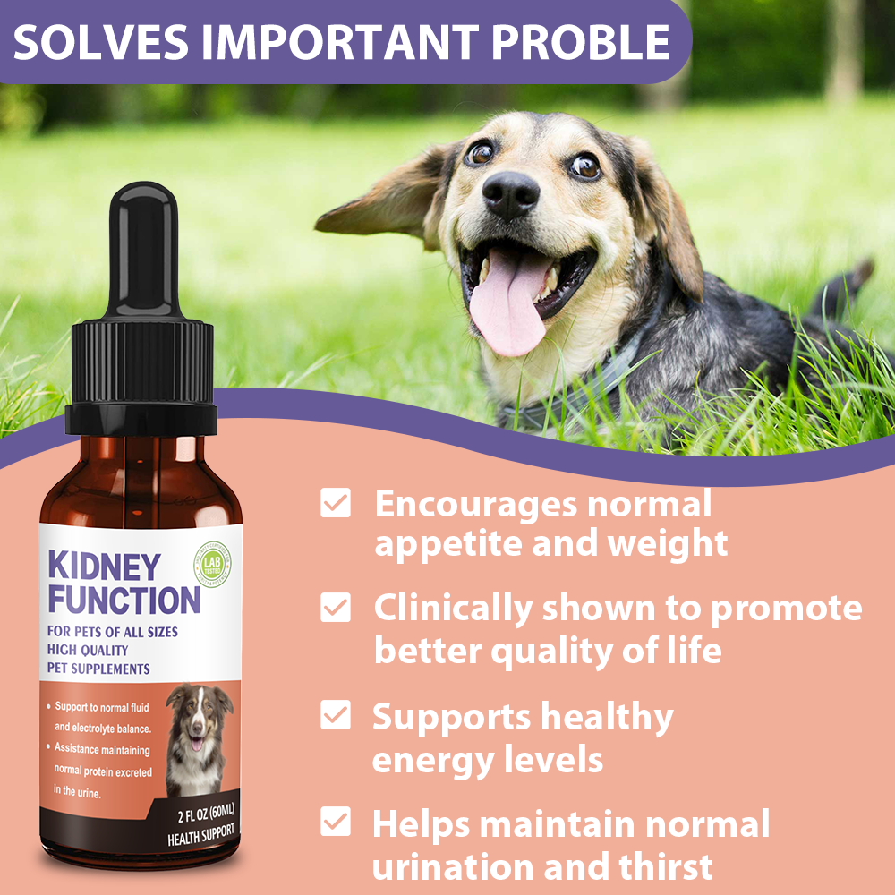 Pet Kidney Function Support Drops - Natural Kidney Health Supplement for Dogs & Cats of All Sizes, Supports Normal Fluid & Electrolyte Balance, Maintains Healthy Protein Excretion in Urine (2 FL OZ)