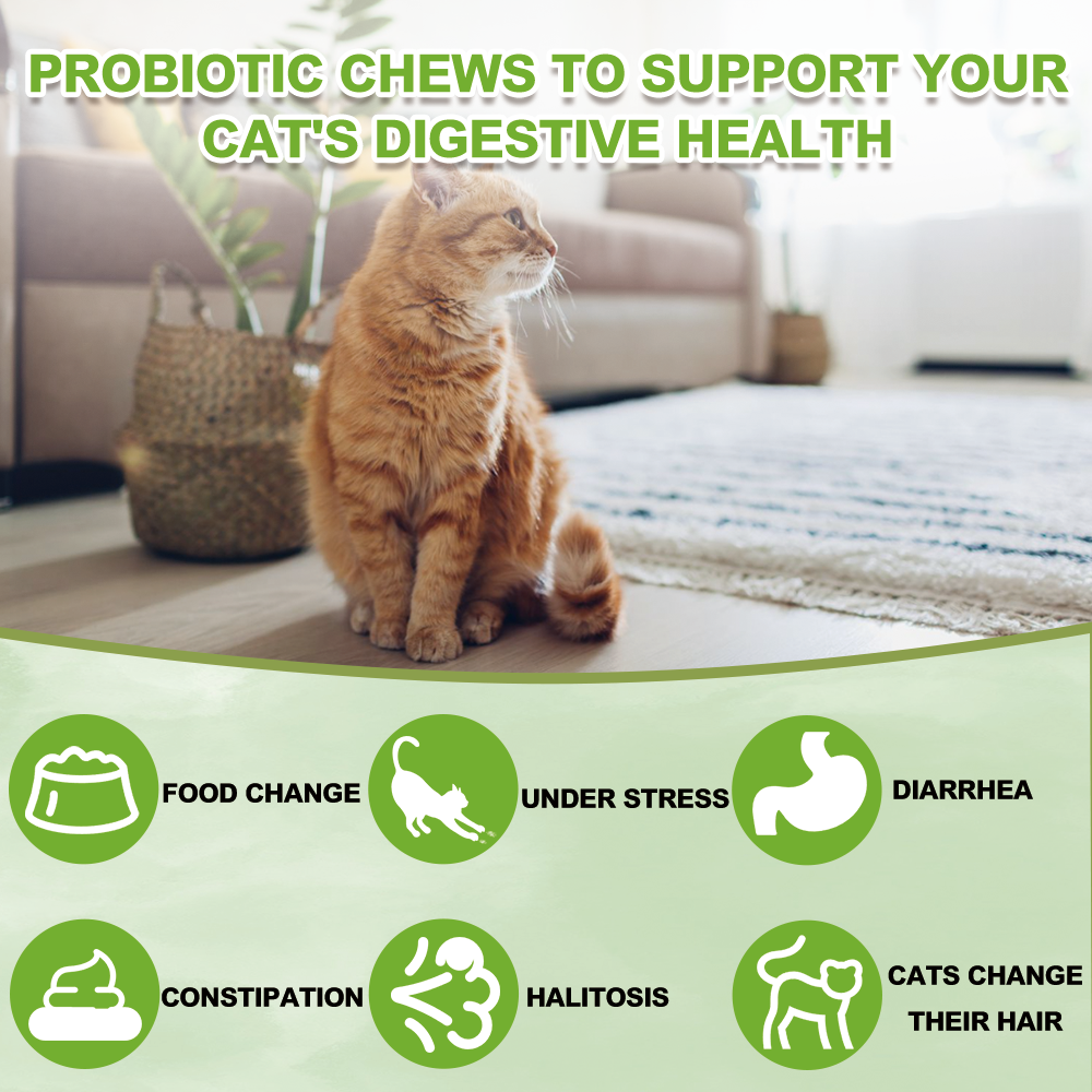 Nutridog Cat Probiotic for Digestive & Gut Health - 150 Dual Texture Crunchy & Creamy Bites - Relief for Constipation, Diarrhea & Sensitive Stomach with Prebiotics & Taurine for Kittens & Seniors