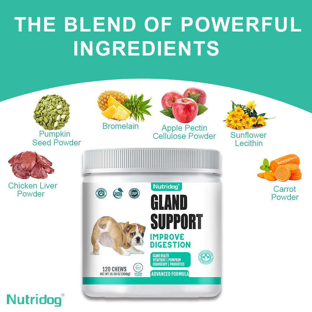 Nutridog Gland Support Chews for Dogs - Dog Bladder & Digestive Health Supplement with Pumpkin, Probiotics & Cranberry - Salmon Flavor Soft Chews to Support Anal Gland Function, Firm Stools & Gut Health (120 Chews)