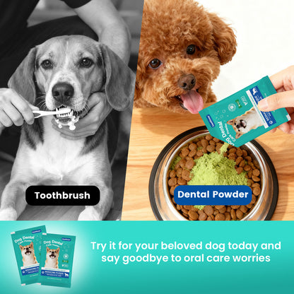 Dog Dental Powder for Teeth Cleaning, Dog Teeth Cleaning Powder for Dogs with Probiotic & Tartar Remover, Fresh Breath Support, No Brushing Oral Care, Chicken Flavor, 60ct