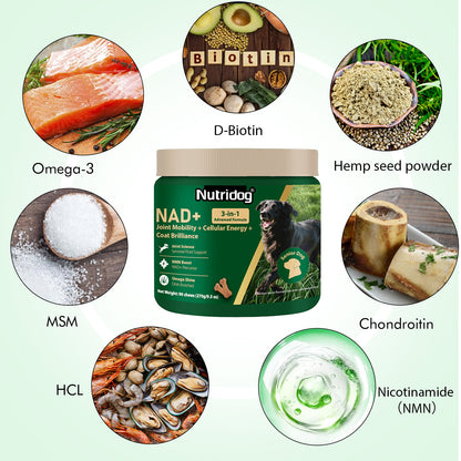 Nutridog Senior Dog Chews – NMN, Glucosamine & Omega-3 | Joint, Energy & Coat Support | 90 Soft Chews