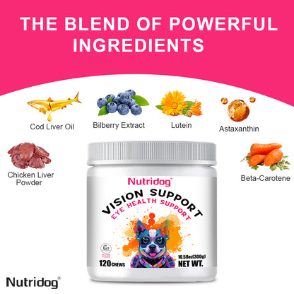 Nutridog Dog Eye Health Chews - 120 Salmon Flavor Soft Chews, Vision Support with Lutein & Bilberry, Antioxidant Protection for Puppies & Senior Dogs, Non-GMO Gluten-Free Human Grade