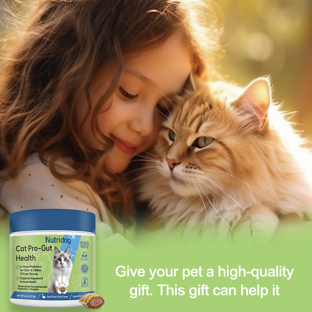 Nutridog Cat Probiotic for Digestive & Gut Health - 150 Dual Texture Crunchy & Creamy Bites - Relief for Constipation, Diarrhea & Sensitive Stomach with Prebiotics & Taurine for Kittens & Seniors