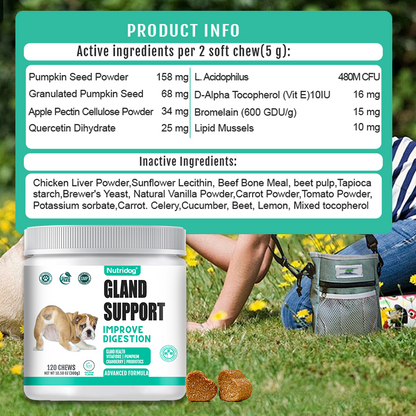 Nutridog Gland Support Chews for Dogs - Dog Bladder & Digestive Health Supplement with Pumpkin, Probiotics & Cranberry - Salmon Flavor Soft Chews to Support Anal Gland Function, Firm Stools & Gut Health (120 Chews)
