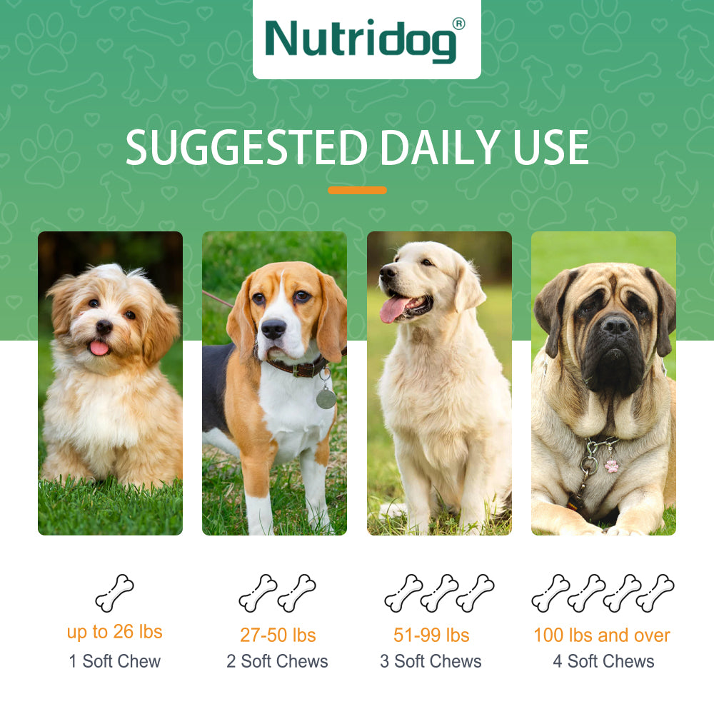 Nutridog Anti-Allergy Dog Chews