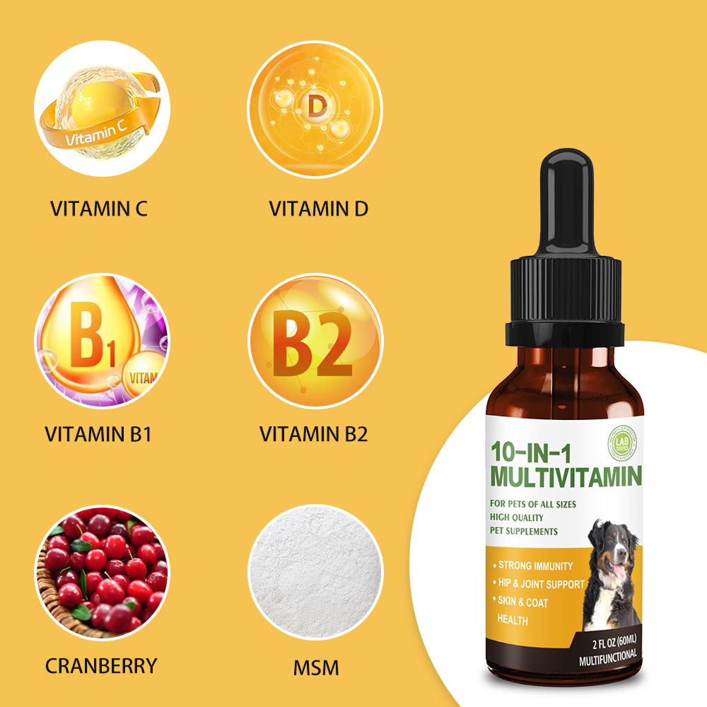 Dog Multivitamin Drops, 10 in 1 Multivitamin Liquid for Dogs with Vitamin C, Vitamin D & B-Complex, Dog Health Supplements for Skin & Coat Care, Joints & Hips, Gut & Immune Support