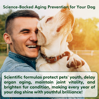 Nutridog Senior Dog Chews – NMN, Glucosamine & Omega-3 | Joint, Energy & Coat Support | 90 Soft Chews