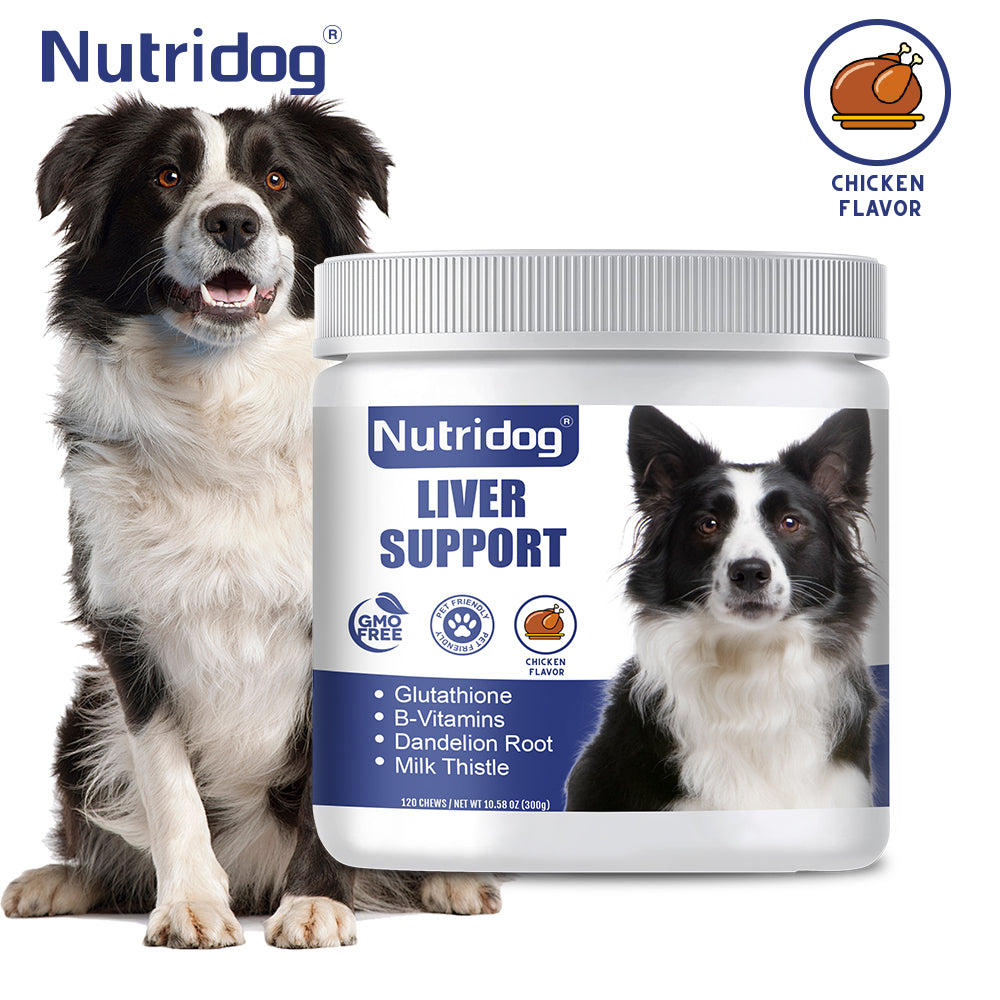 Nutridog Liver And Kidney Support For Dogs