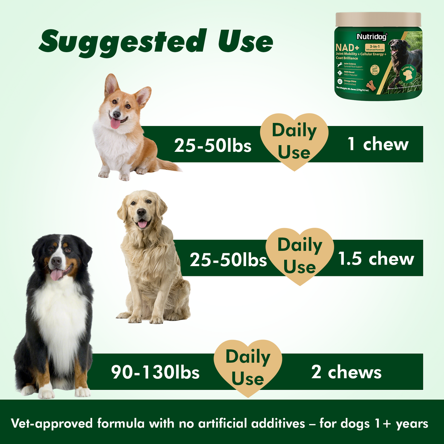 Nutridog Senior Dog Chews – NMN, Glucosamine & Omega-3 | Joint, Energy & Coat Support | 90 Soft Chews