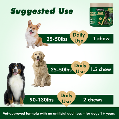 Nutridog Senior Dog Chews – NMN, Glucosamine & Omega-3 | Joint, Energy & Coat Support | 90 Soft Chews