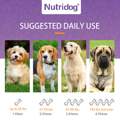 Nutridog Probiotics Chews For Dogs