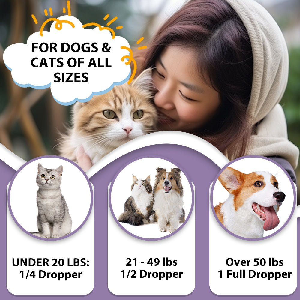 Probiotic Drops for Dogs and Cats, Salmon Flavor Pet Probiotics with Prebiotics & Digestive Enzymes, Supports Gut Health, Digestive Function & Immune System, Relieves Diarrhea & Constipation, Suitable for All Pets