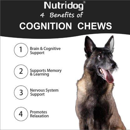 Nutridog Advanced Cognition Soft Chews For Dogs