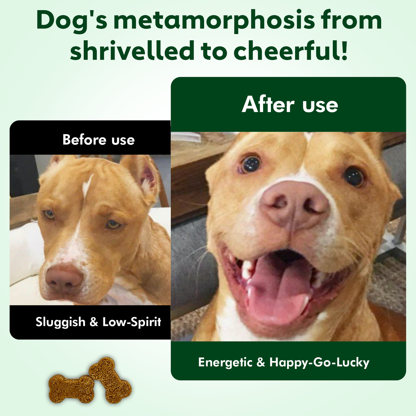 Nutridog Senior Dog Chews – NMN, Glucosamine & Omega-3 | Joint, Energy & Coat Support | 90 Soft Chews