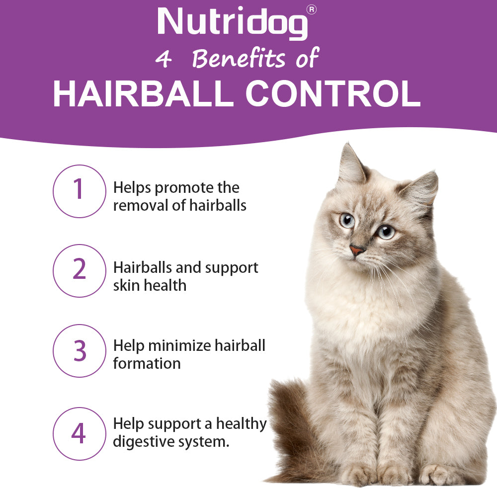 Nutridog Skin&Coat Chews For Cats