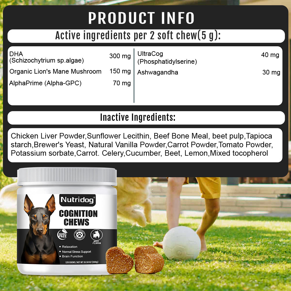 Nutridog Advanced Cognition Soft Chews For Dogs