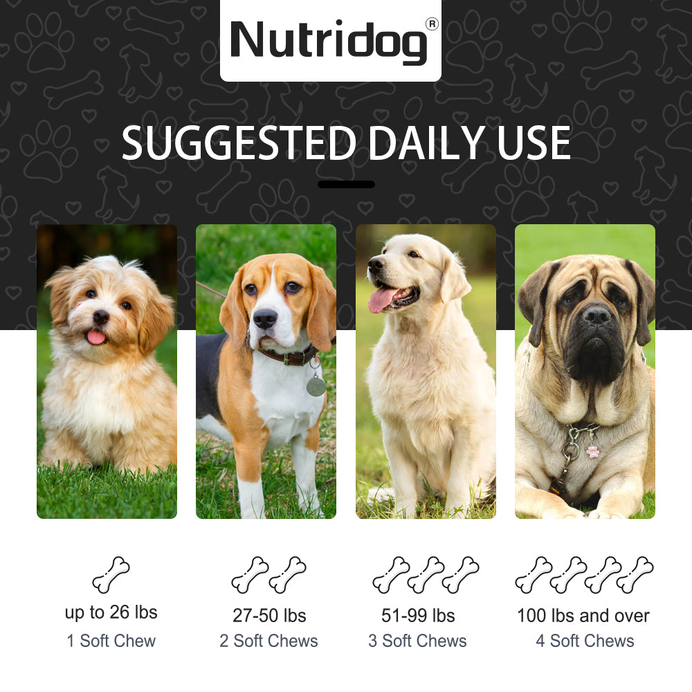 Nutridog Advanced Cognition Soft Chews For Dogs